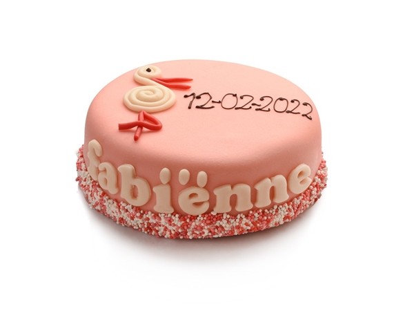 Geboortetaart meisje